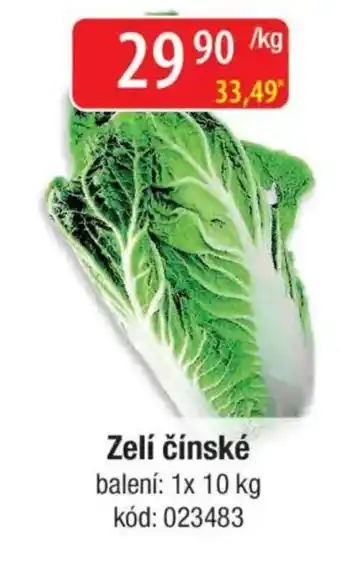 Qanto Zelí čínské nabídka