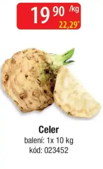Qanto Celer nabídka