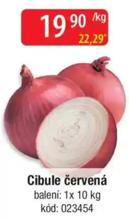 Qanto Cibule červená nabídka