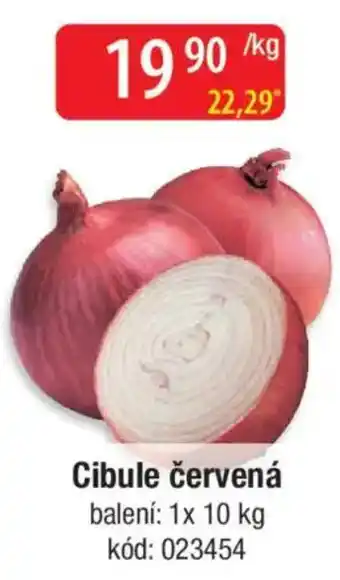 Qanto Cibule červená nabídka