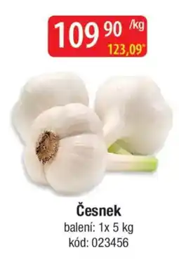 Qanto Česnek nabídka
