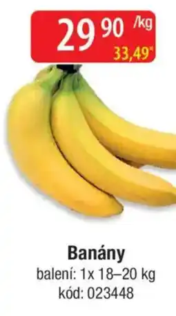 Qanto Banány nabídka