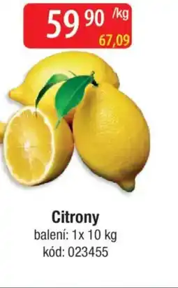Qanto Citrony nabídka