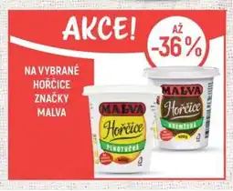Globus Na vybrané hořčice značky malva nabídka
