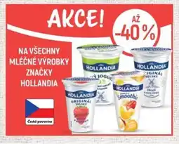 Globus Na všechny mléčné výrobky značky hollandia nabídka