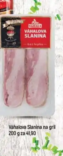 Globus VÁHALOVA Slanina na gril nabídka