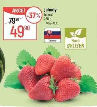 Globus Jahody nabídka