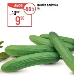 Globus Okurka hadovka nabídka