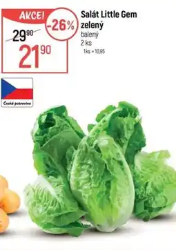 Globus Salát little gem zelený nabídka