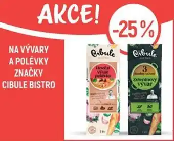 Globus Na vývary a polévky značky cibule bistro nabídka