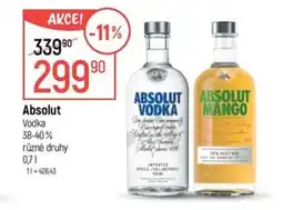 Globus Absolut nabídka