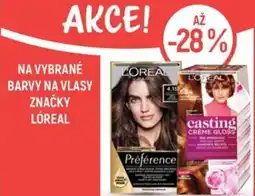Globus Na vybrané barvy na vlasy značky lóreal nabídka