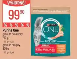 Globus Purina one nabídka