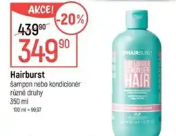 Globus Hairburst nabídka