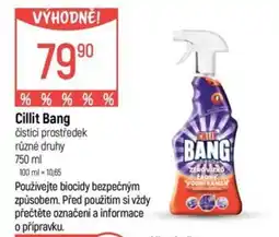 Globus Cillit bang nabídka