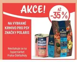 Globus Na vybrané krmivo pro psy značky polaris nabídka