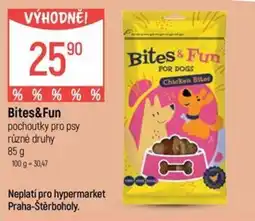 Globus Bites&Fun nabídka
