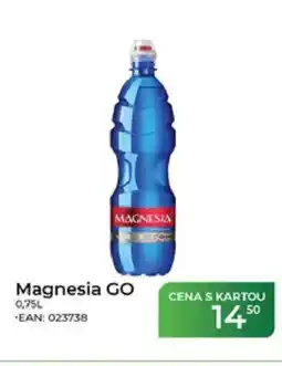 Tamda Foods Magnesia GO nabídka