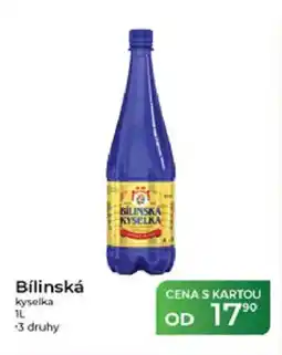 Tamda Foods Bílinská kyselka nabídka