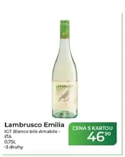 Tamda Foods Lambrusco Emilia nabídka