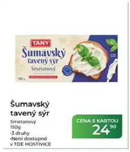 Tamda Foods TANY Šumavský tavený sýr nabídka