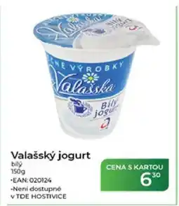 Tamda Foods Valašský jogurt bily nabídka
