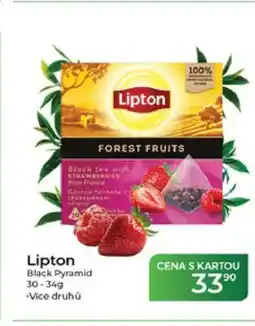 Tamda Foods Lipton nabídka