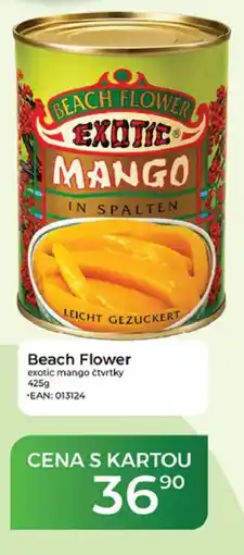 Tamda Foods Beach Flower exotic mango čtvrtky nabídka