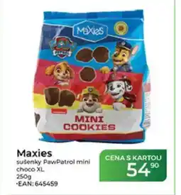 Tamda Foods Maxies sušenky PawPatrol mini choco XL nabídka