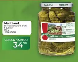 Tamda Foods Machland Delikates Okurky 6-9 Cm S Cukrem nabídka