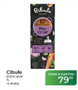 Tamda Foods Cibule bistro vývar nabídka