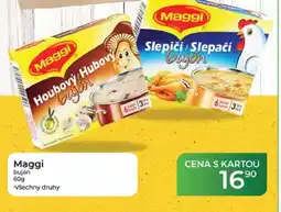 Tamda Foods Maggi bujón nabídka