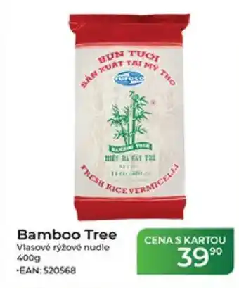 Tamda Foods Bamboo Tree Vlasové rýžové nudle nabídka