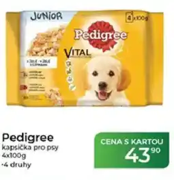 Tamda Foods Pedigree kapsička pro psy nabídka