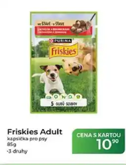 Tamda Foods Friskies Adult kapsička pro psy nabídka