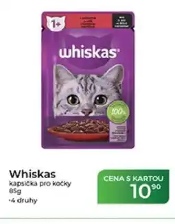 Tamda Foods Whiskas kapsička pro kočky nabídka