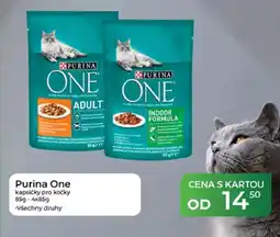 Tamda Foods Purina One kapsičky pro kočky nabídka