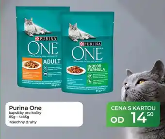 Tamda Foods Purina One kapsičky pro kočky nabídka