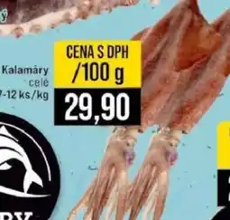 Jip Kalamáry nabídka
