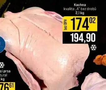 Jip KACHNA nabídka