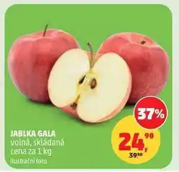 Penny Market JABLKA GALA nabídka
