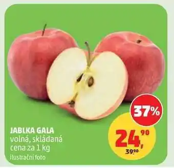Penny Market JABLKA GALA nabídka