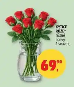 Penny Market Kytice Růže nabídka