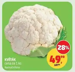 Penny Market Květák nabídka