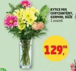 Penny Market Kytice Mix Chryzantémy, Germini, Růže nabídka