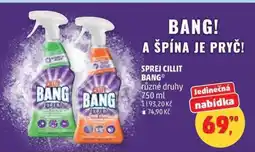 Penny Market SPREJ CILLIT BANG nabídka