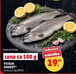 Penny Market Pstruh duhový nabídka