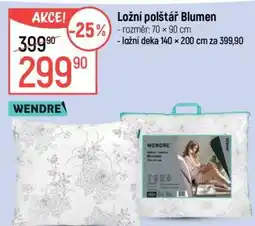 Globus Ložní polštář Blumen nabídka