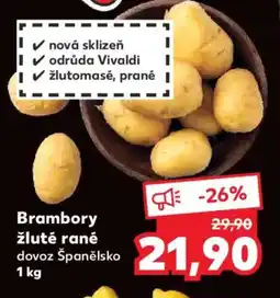 Kaufland Brambory žluté rané nabídka