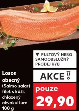 Kaufland Losos obecný nabídka